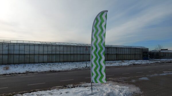 Rechte beachflags, Westland